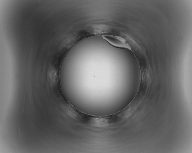 X0000116290327200912071216