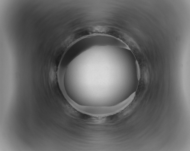 X0000116290328200912071216