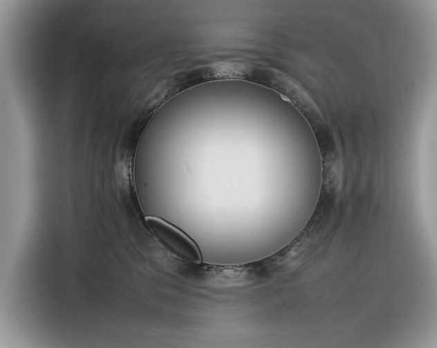 X0000116290329200912071216