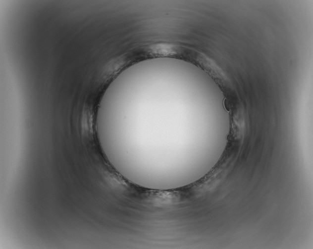 X0000116290330200912071216