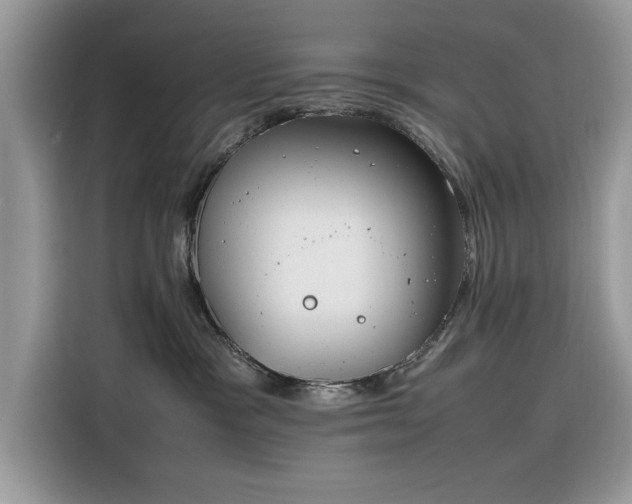 X0000116290333200912071216