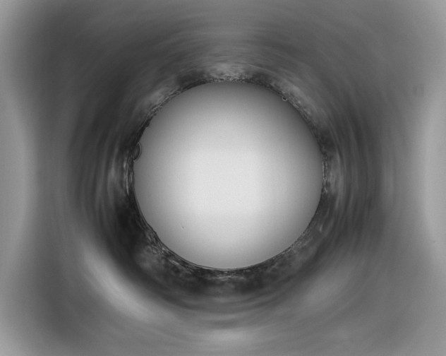 X0000116290334200912071216