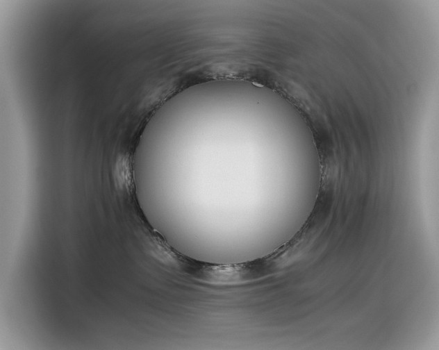 X0000116290335200912071216