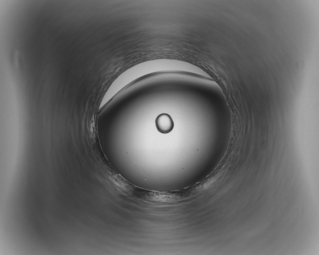 X0000116290336200912071216