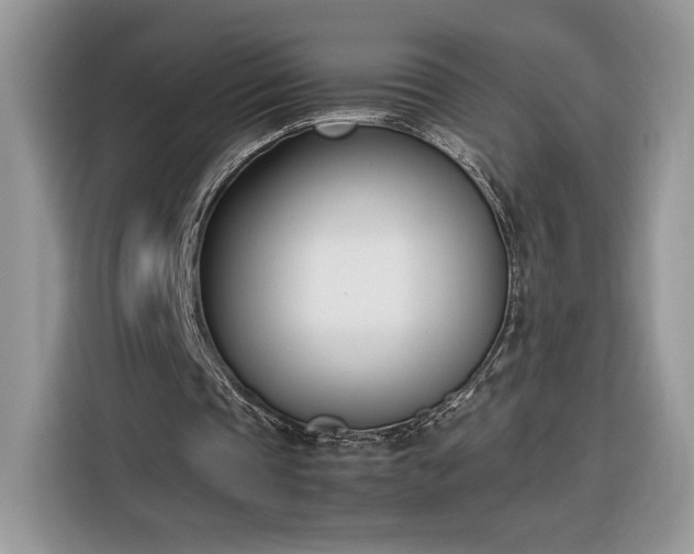 X0000116290337200912071215