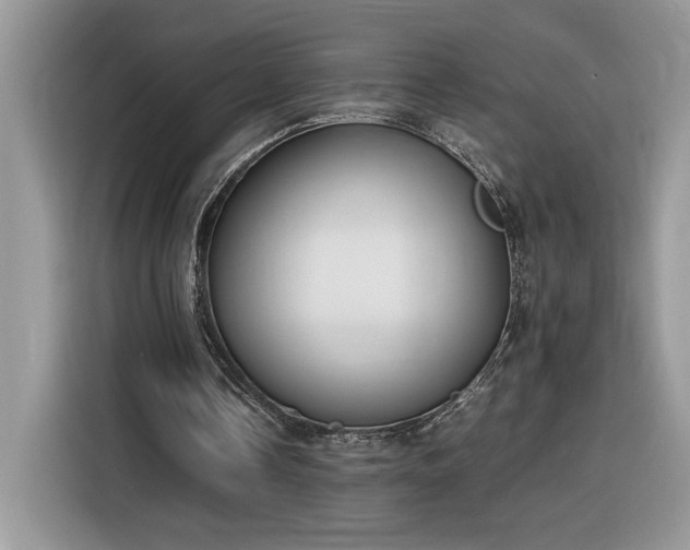 X0000116290338200912071215