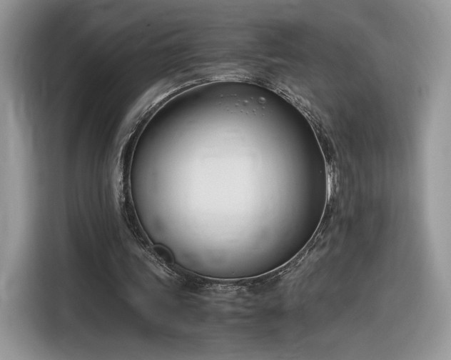 X0000116290339200912071215