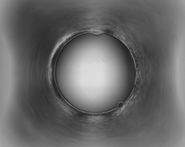 X0000116290342200912071215