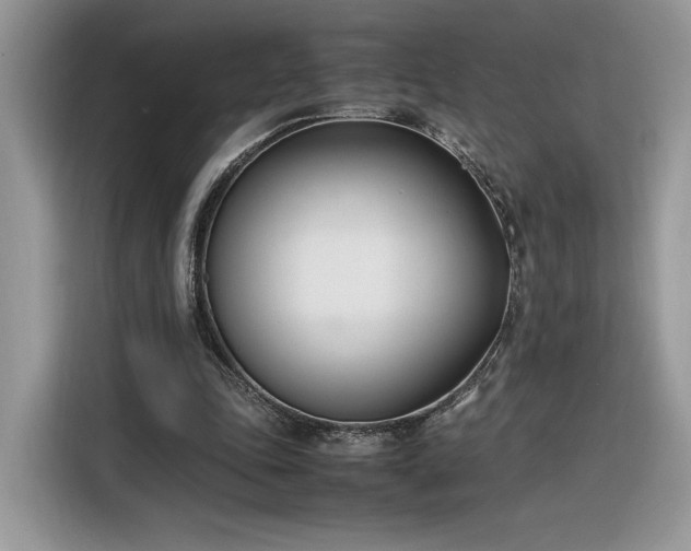 X0000116290343200912071215