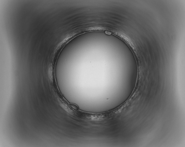 X0000116290345200912071215