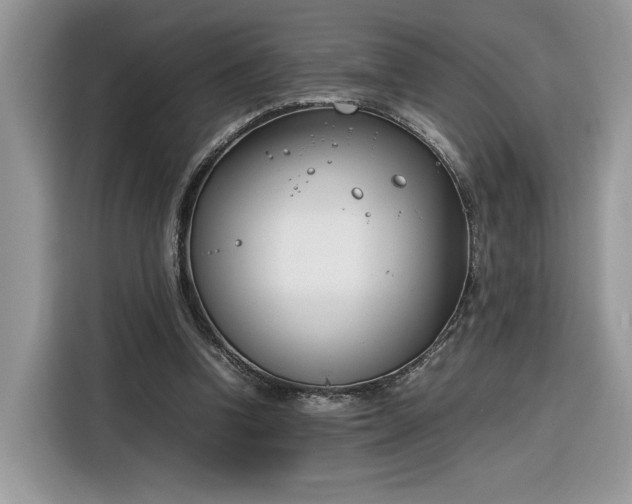 X0000116290346200912071215