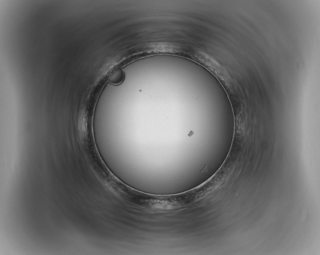 X0000116290347200912071215