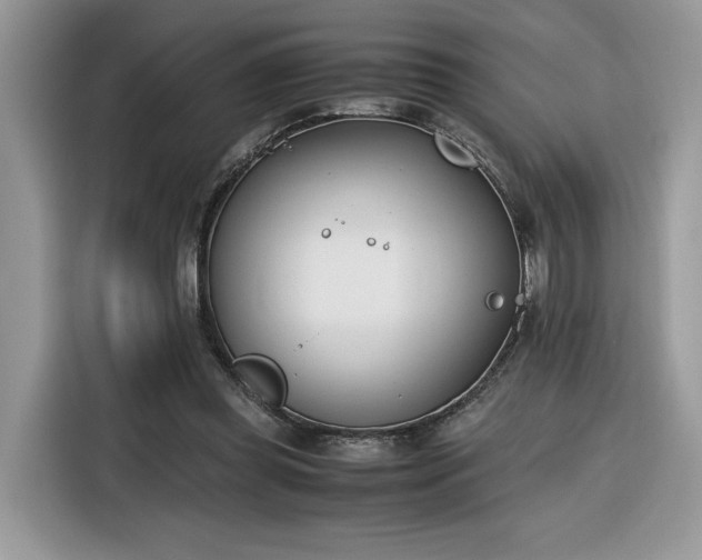 X0000116290349200912071215