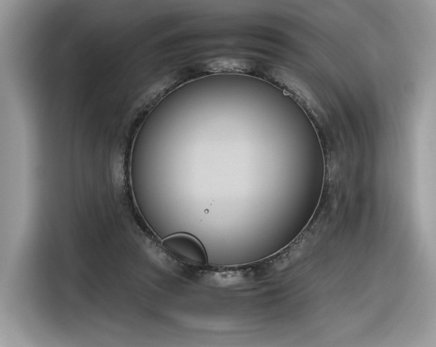 X0000116290353200912071215