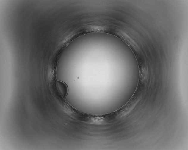 X0000116290355200912071215