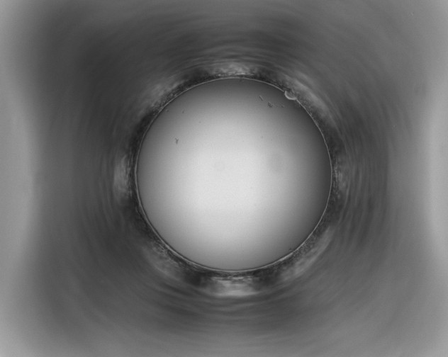 X0000116290359200912071215