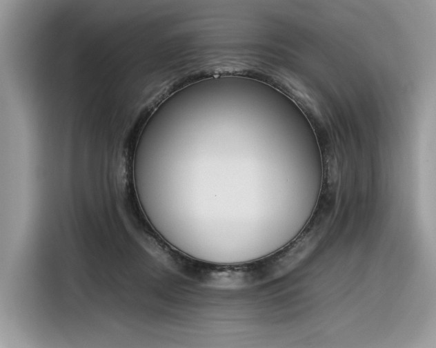 X0000116290362200912071215