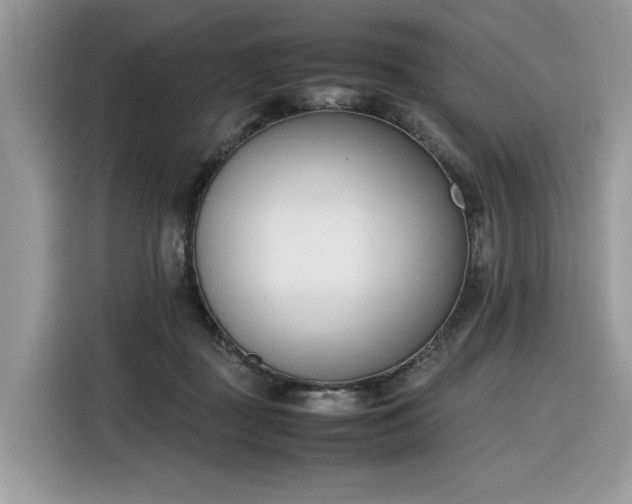 X0000116290363200912071215