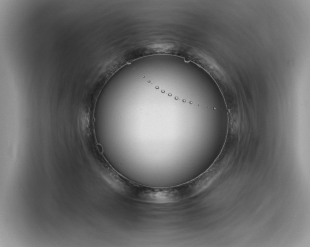 X0000116290365200912071215