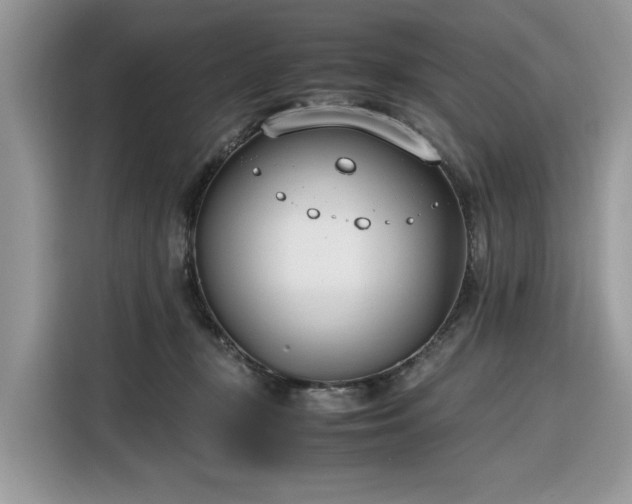 X0000116290367200912071215