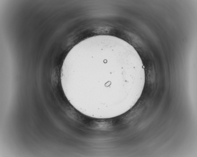 X0000116290370200912071215