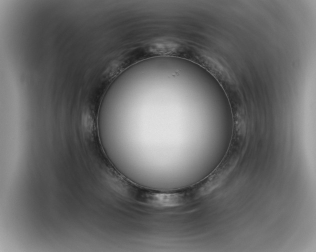 X0000116290371200912071216