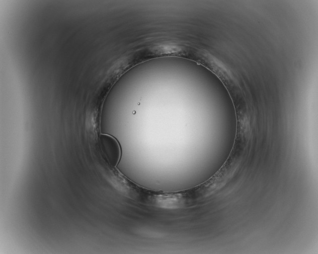 X0000116290373200912071216