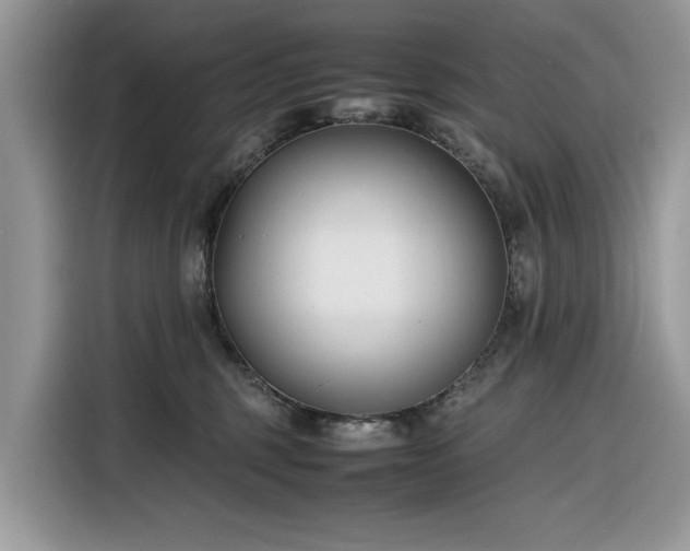 X0000116290375200912071216