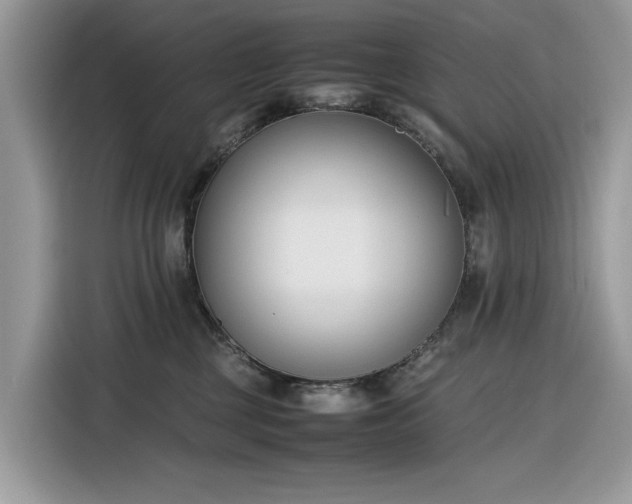 X0000116290377200912071216