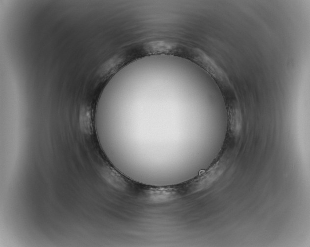 X0000116290378200912071216