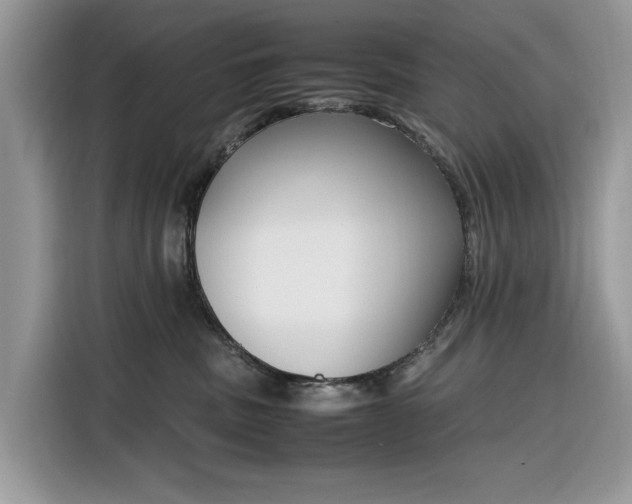 X0000116290379200912071216