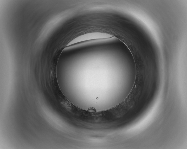 X0000116290382200912071216