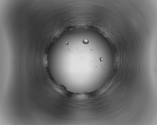 X0000116290383200912071216