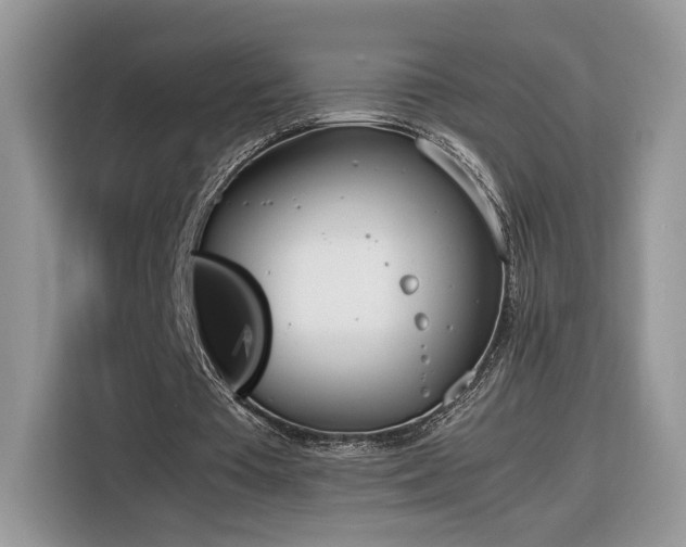 X0000116290385200912071215