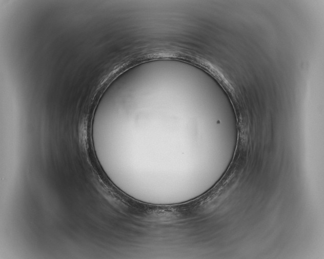 X0000116290386200912071215