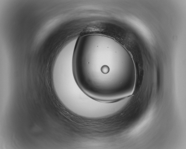 X0000116290387200912071215