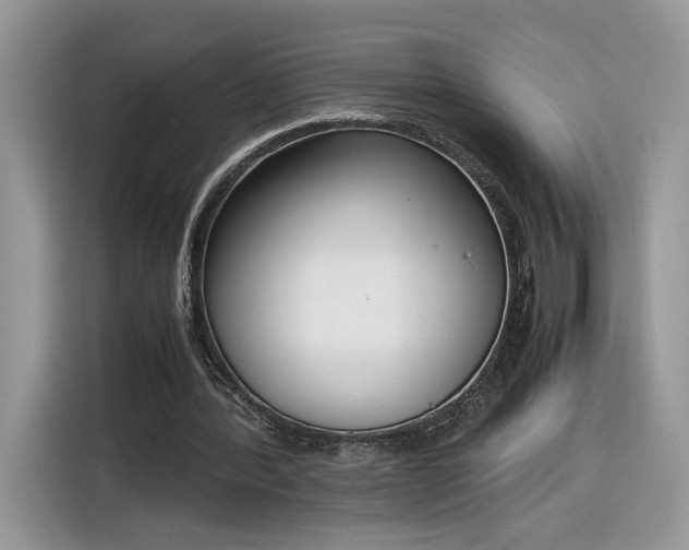 X0000116290388200912071215