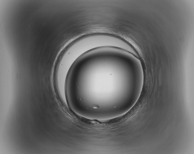 X0000116290391200912071215