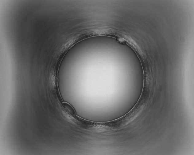 X0000116290393200912071215