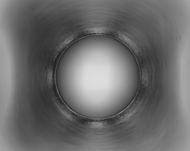 X0000116290394200912071215