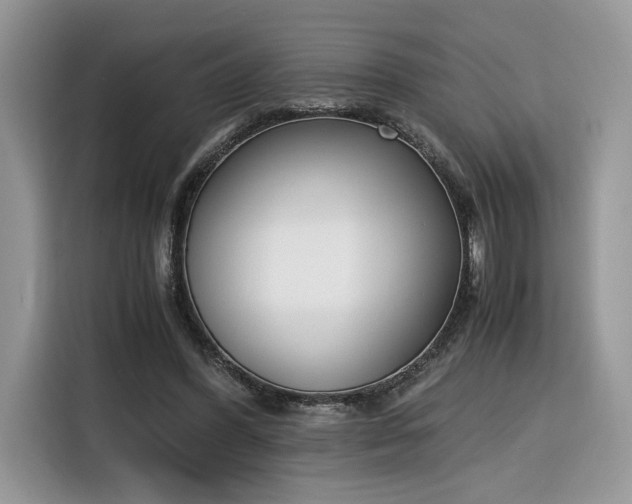 X0000116290396200912071215