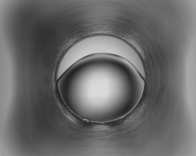 X0000116290397200912071215