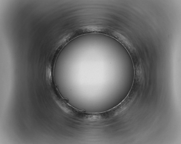 X0000116290398200912071215