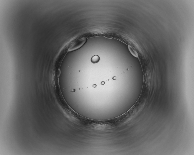 X0000116290400200912071215