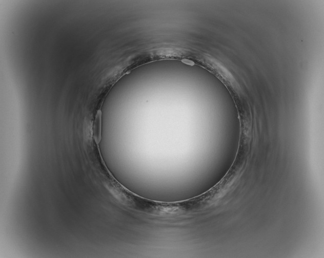 X0000116290401200912071215