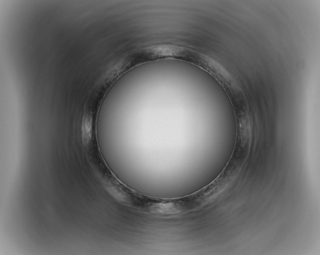 X0000116290406200912071215