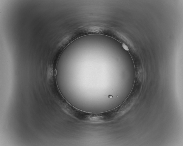 X0000116290407200912071215