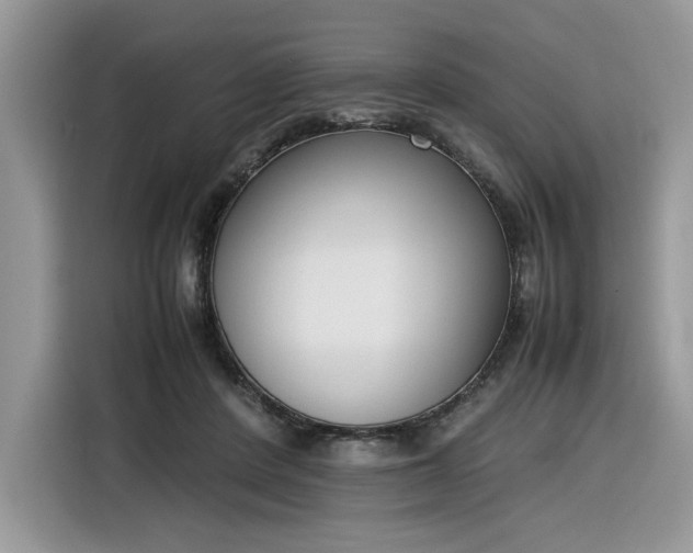 X0000116290408200912071215