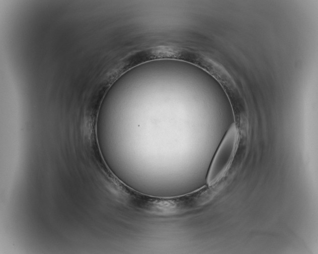 X0000116290409200912071215