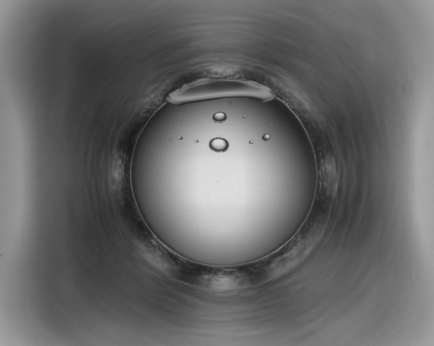 X0000116290412200912071215